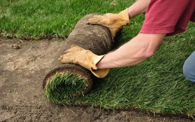 Transform Your Lawn with Turf Installation Sydney Au Expertise