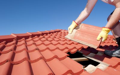 Prevent Costly Water Damage with Roof Repair Brisbane, QLD Homeowners Trust