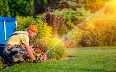 Save on Landscaping Costs with Garden Wholesale Supplies Central Coast NSW