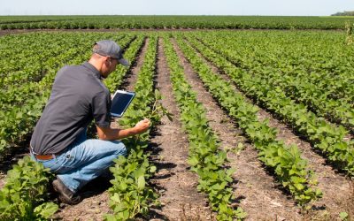 Choosing the Right Farm Supplies And Equipment for Your Rural Property in Pakenham South